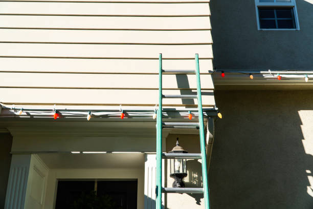 Best Siding Painting and Refinishing  in Lula, GA