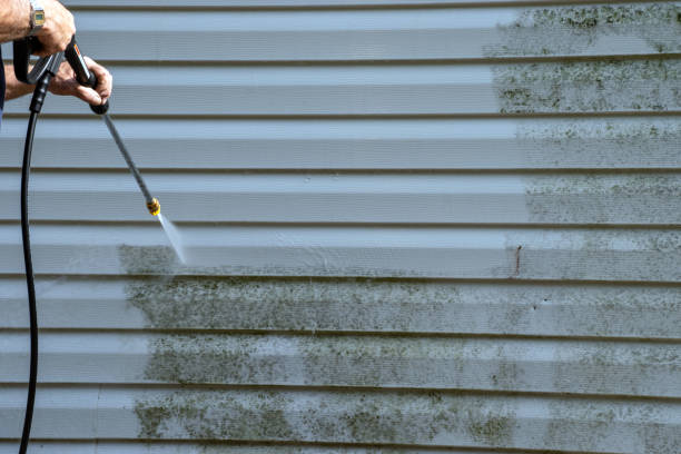 Best Weatherproofing and Sealing  in Lula, GA