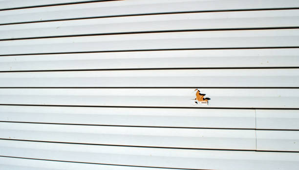 Best Siding for Commercial Buildings  in Lula, GA