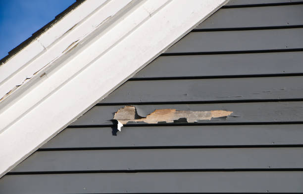 Best Siding Removal and Disposal  in Lula, GA